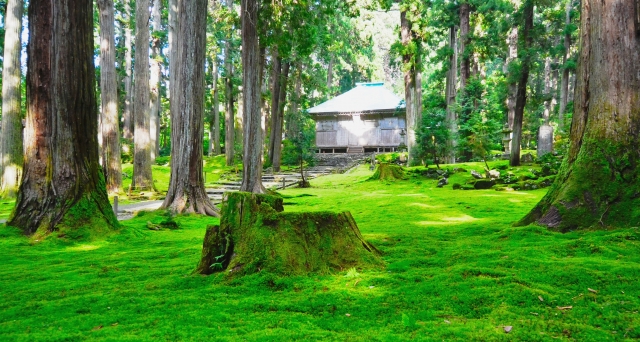 平泉寺白山神社