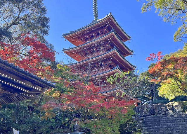竹林寺