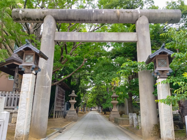 船橋大神宮（意富比神社）